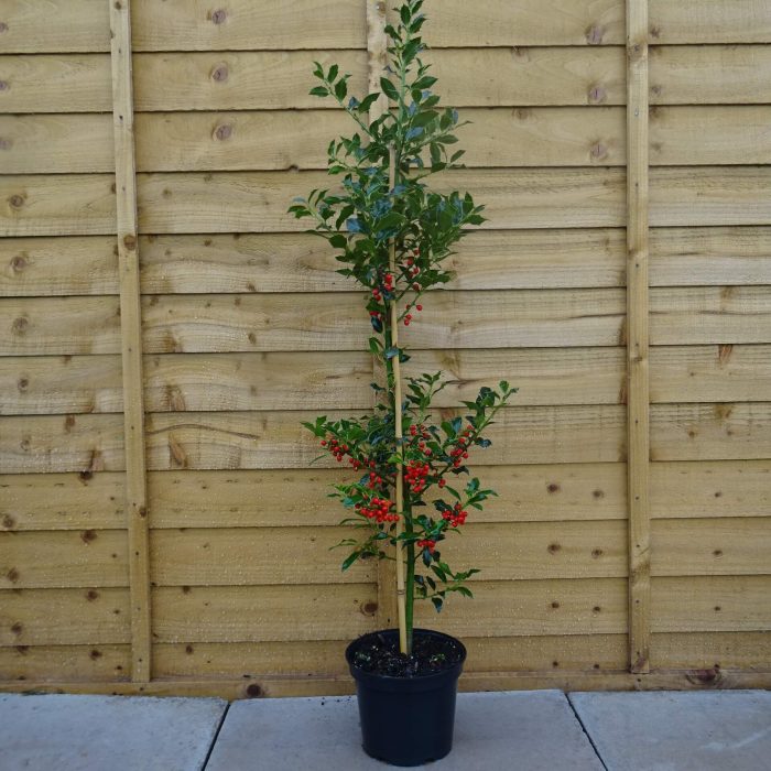 d5aabf2650d7336f1ae4347aeff04698.jpg 002ee105-6ebd-4c22-8ef0-0fbd473b6c53