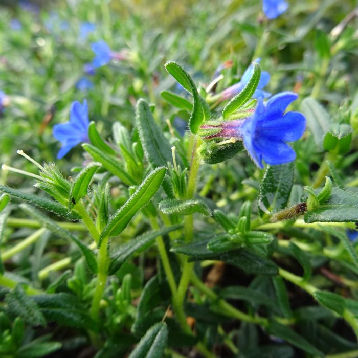 d5e2e0721ed1f4aa1e9375e57266dc9c.jpg 7ab5483b-cae0-4a03-ba8a-4b6374e43659