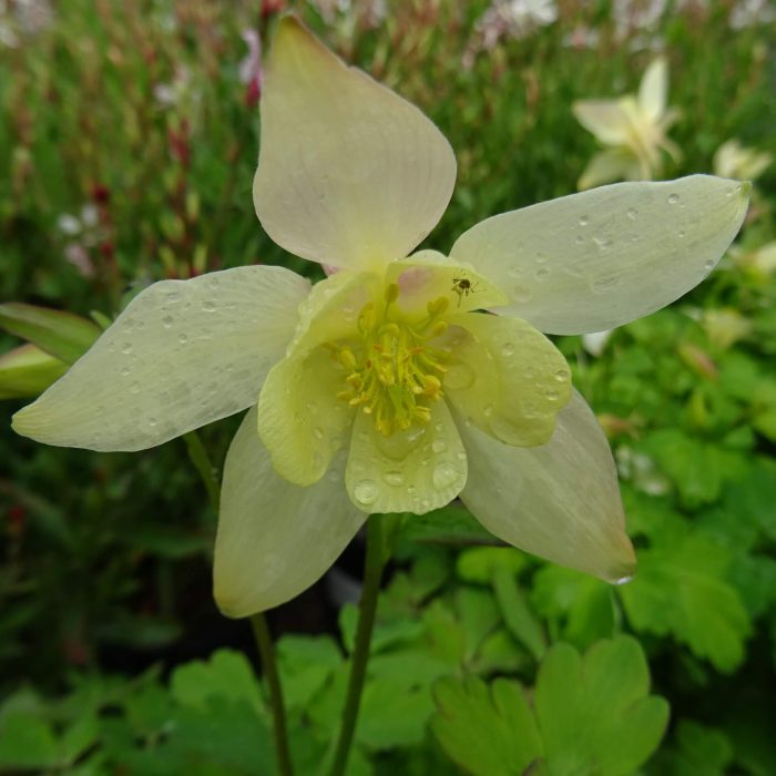 793fa316-1dc4-4d99-9964-3c0f15604a64