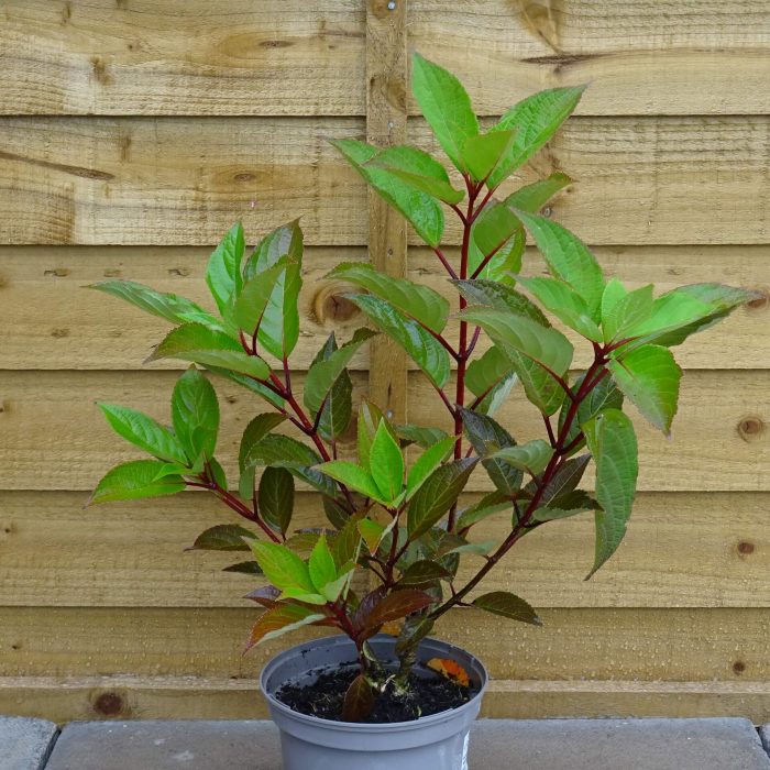 b334101c-c787-4ca0-b4a1-bb8b2d86040a