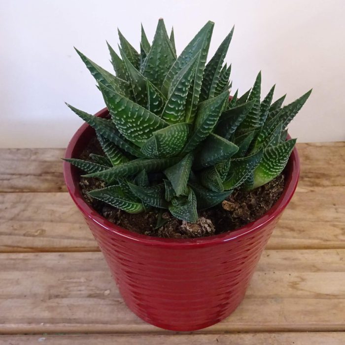 799a436e-799f-433e-a2c7-8ab66fe00741