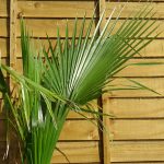 77cb6224-a606-4ecf-a4a2-41a81a49d0b7