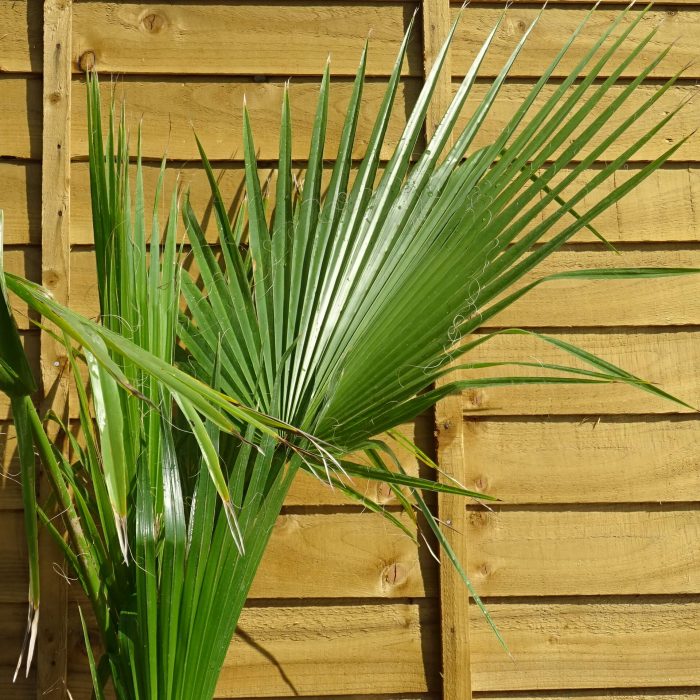 77cb6224-a606-4ecf-a4a2-41a81a49d0b7