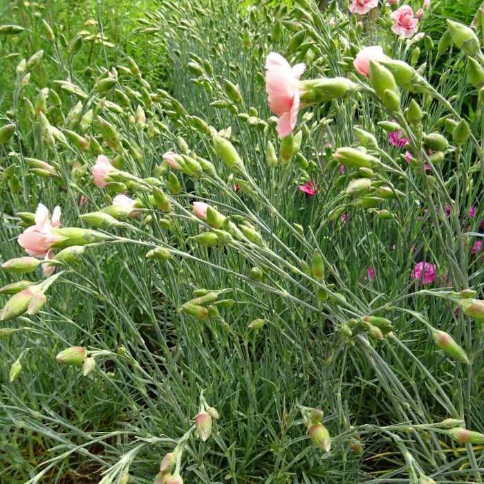 a5c9c4df-3432-4217-891a-640e9a8bb608