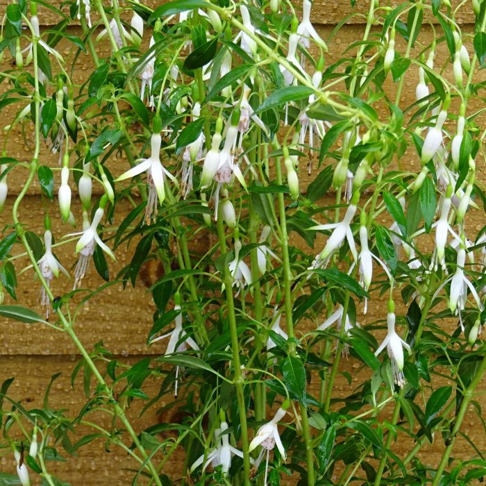 665b0240-f091-408f-bd54-5440953fa1fc