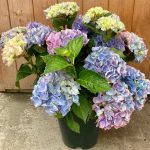 028432ea-1a59-4402-bcd6-c61edec1335b