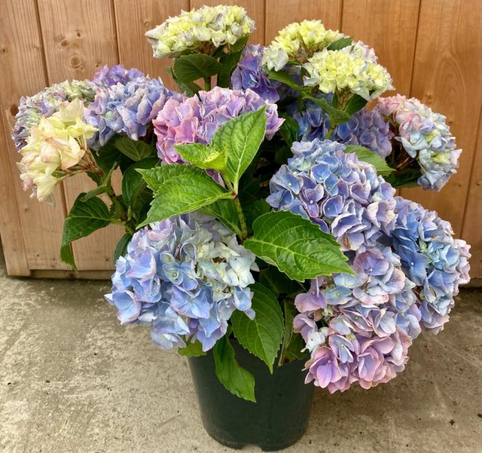 d939713c269bd6c0373784ce16bf7708.jpg 028432ea-1a59-4402-bcd6-c61edec1335b