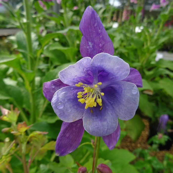 50ee2e33-16cb-4867-948c-0a1327a248c8