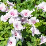 037de563-0fc5-4b84-a6a4-2a567afb29db