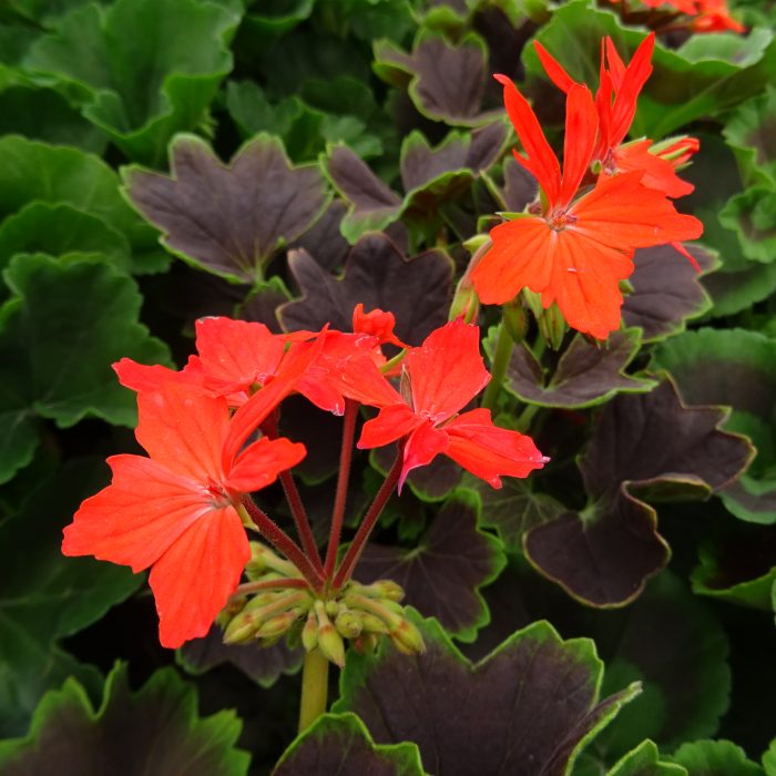 e302d12e-5643-4684-996f-a36a6db3b62b