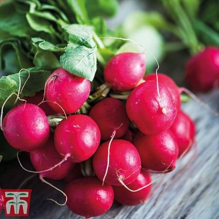 b38bc1e5-fa50-4453-ae50-a7436eed35bf