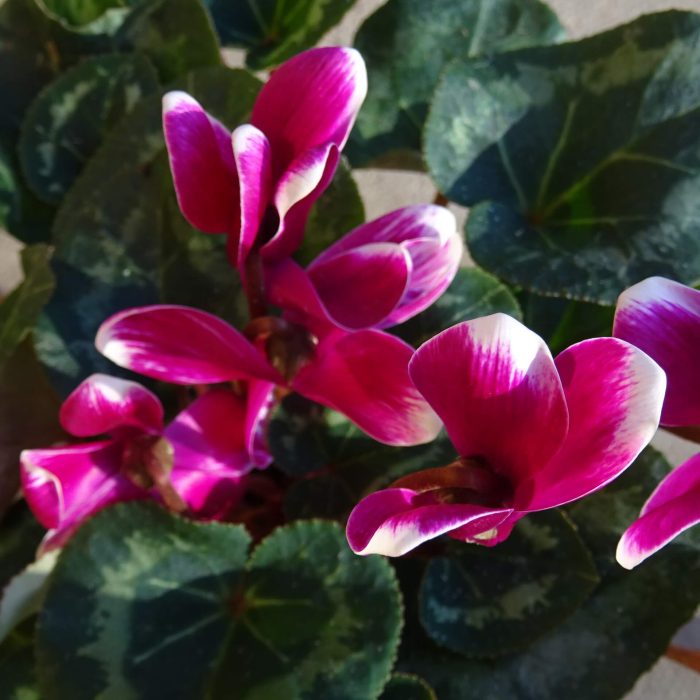 878e2040-95f3-4e5f-90c7-b64def87686f