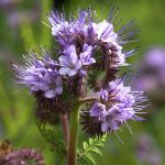 54627ac3-8e77-479e-9b0e-3140bd874eec