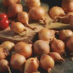 9723b75f-c36f-46f2-a2b7-0a04be4c17ba