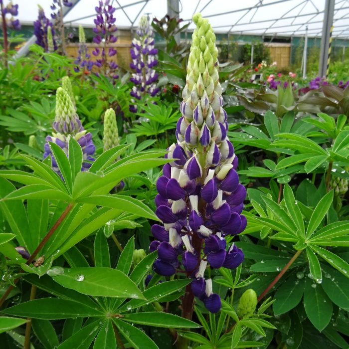 05754365-5329-44d7-a6da-d3d111f32f31