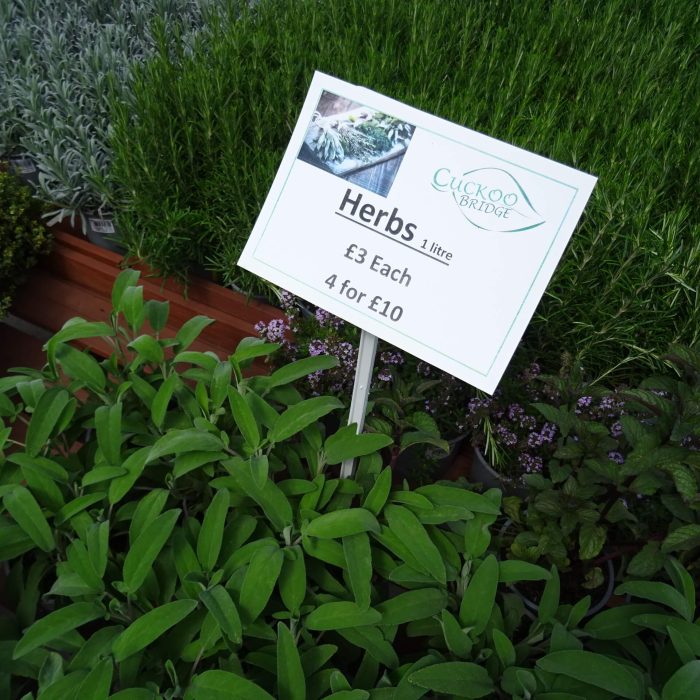 24af23ca-8cfe-4ee1-875b-3946386860f5