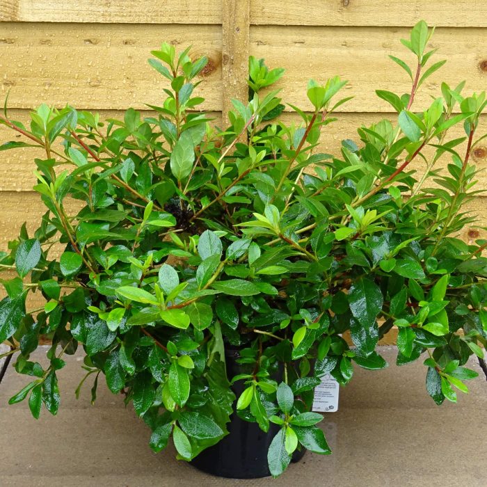 029bc622-3d72-41e4-b874-3eeee4912d38