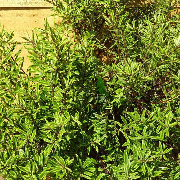 aed19214-1f4c-4668-adea-6ebe9ffebd66