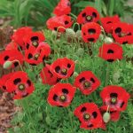 04ba8299-9d8f-4541-a268-4910ee4d74d5