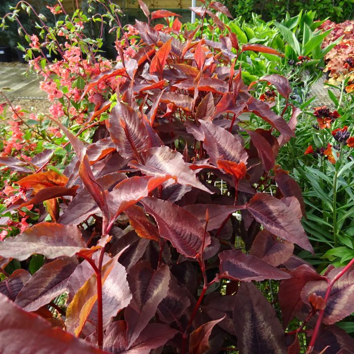 b3c20e13-325d-4dc2-ad9a-7e92027e0afc