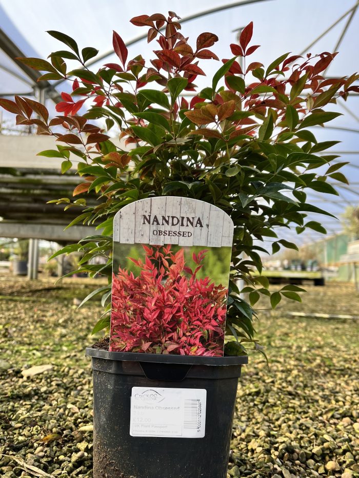 df00daa9028c4c70787e2ffb7361df23.jpg dd94a6cf-68ea-43f1-a359-ce52a2e6bd4c