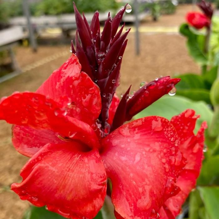 df0ba3dec475294ee313407df28b85d3.jpg 27decd12-3f4d-4d18-88f6-c5563f182e20