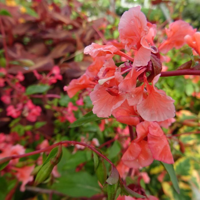 9b39b448-812b-4b8a-8e06-2039afd6c9d5