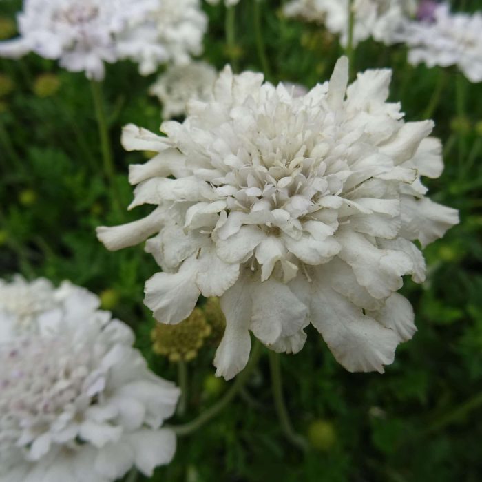 ca9e3e24-10dc-4f71-bbf3-31c1938d7248