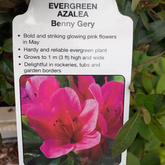 5badd5fb-1dec-4b4c-a777-6f7ccbd8a779