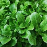 68a9fc86-1fbb-4302-94d5-5250796c016e