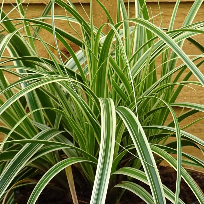 396a2a9c-2e50-4dec-82f1-54505a587522