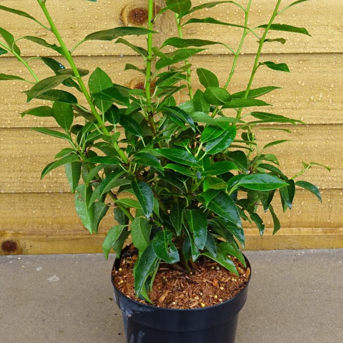 fbeb7949-4cfa-479c-8778-2b9e4d6c8413