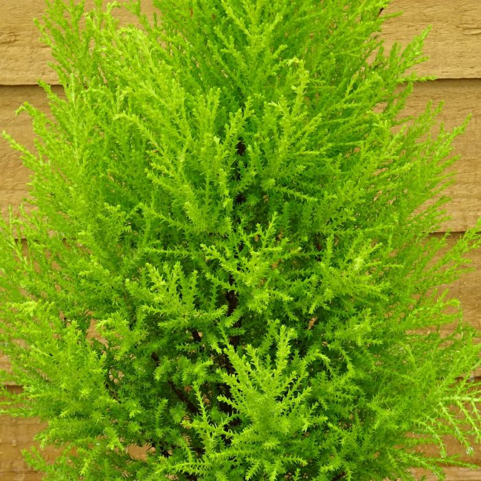 b49c82e2-881f-48ec-a108-26cb626196b0