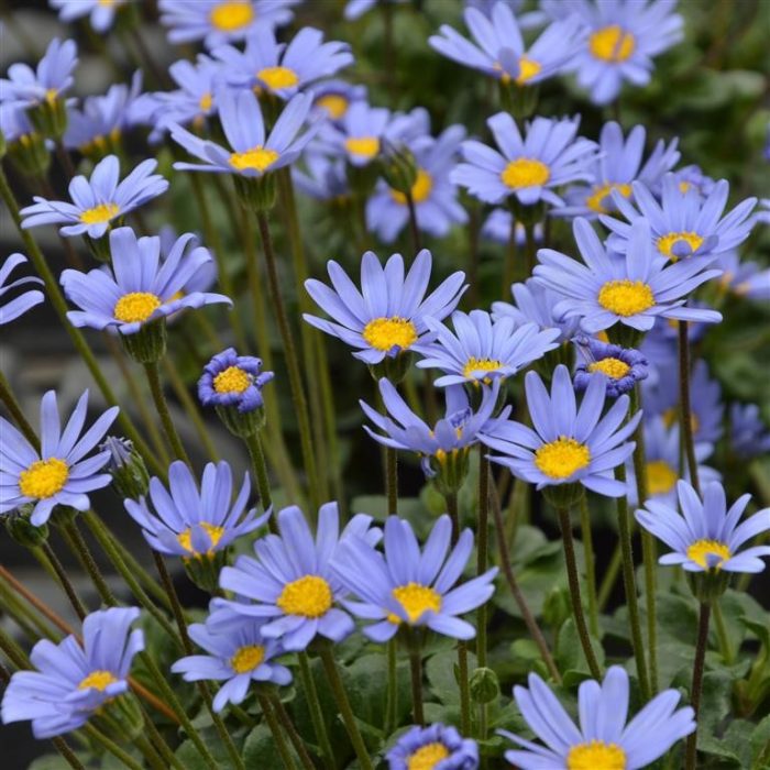 e0616aec02caaff2b8b3fb073f5945b1.jpg dac01b10-ad72-44b7-9c61-3f1f38870f01