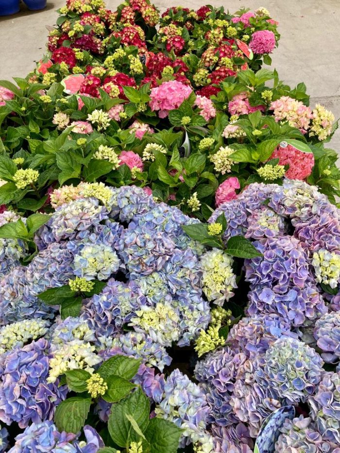 e0997cf1904cdc272c4c863128f308ad.jpg 8495cd4e-ee1c-4dbb-b6fb-95b68f67cefb