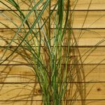 bbba267a-93b9-4f3f-80dc-2db6ef6bb574