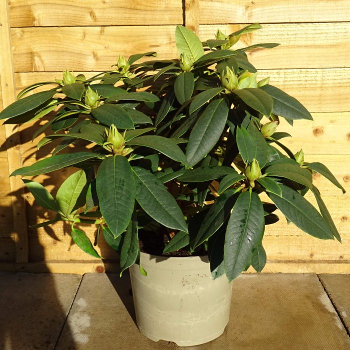 a7113241-d896-4bc4-a772-bea506c49b28