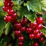 b0d5fb9e-e1b7-4205-b0ce-b47929762989