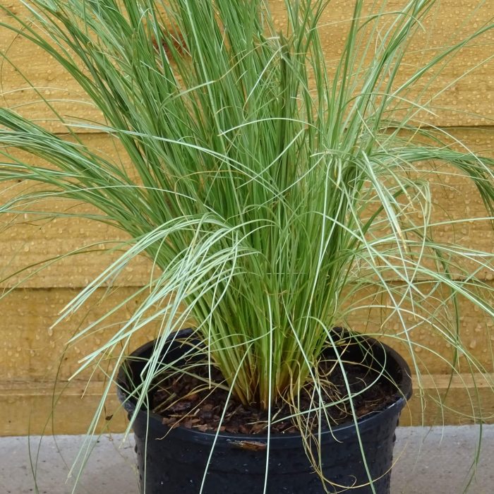 e2b889c0e4537c495bcb755f07f9b68c.jpg feae979d-86aa-4f45-9f7f-9d1e713f7acd