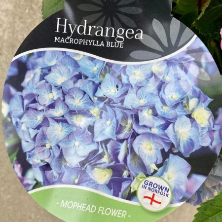 0396cf56-8023-4fa3-82dc-8b980caf62c2