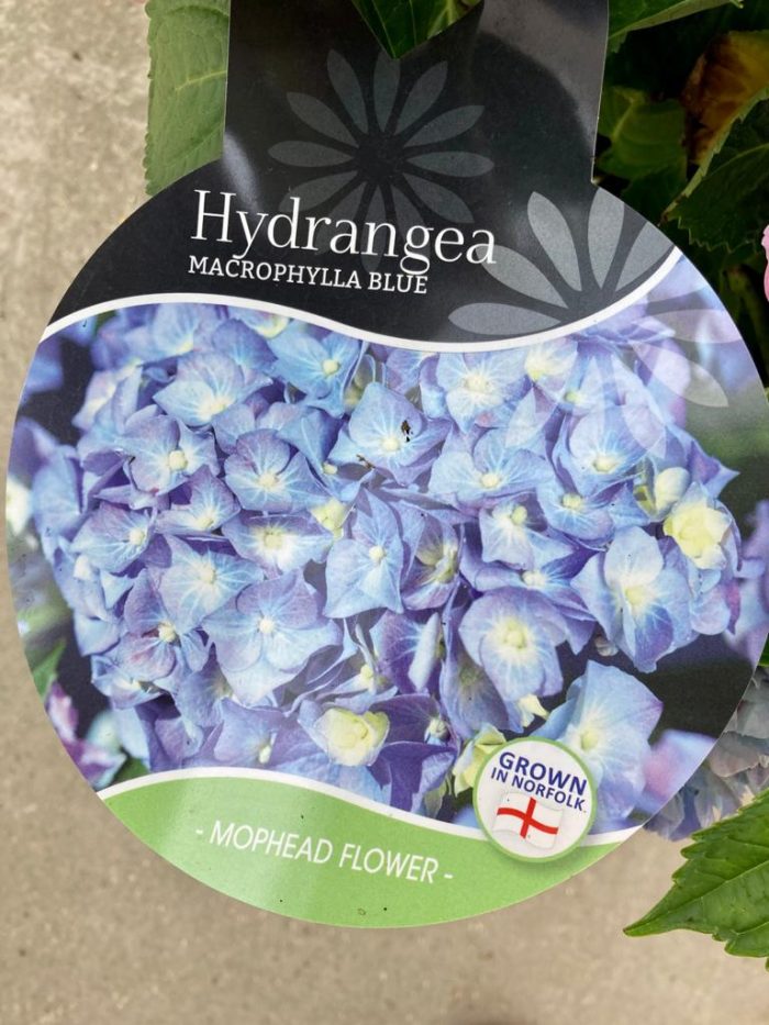 e2e416e6c3bc85234339d8c2b6017a82.jpg 0396cf56-8023-4fa3-82dc-8b980caf62c2