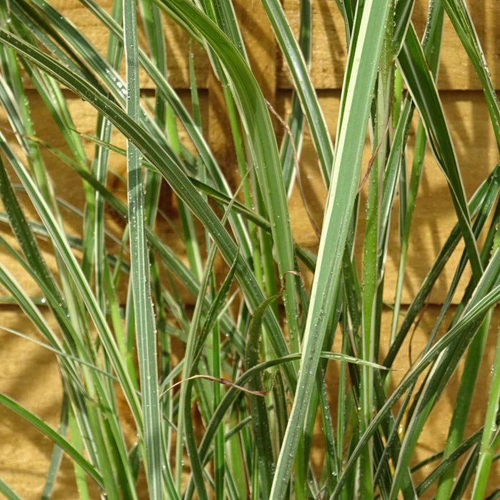 e8539c65-6d95-4a7f-a6c6-c09d97cca226