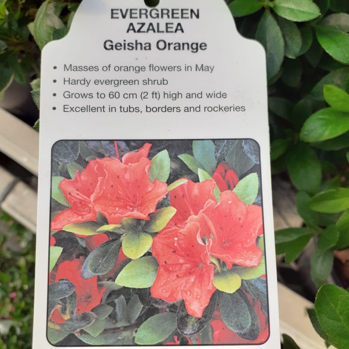 a2a78bc0-fc90-47d5-898b-0254dbd4c7f0