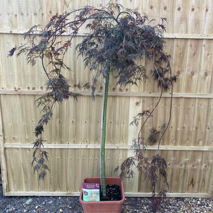 5625dfb6-3055-4700-8467-41178113a26b