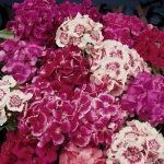 eb549140-9c78-4b83-a366-13394a486c9c