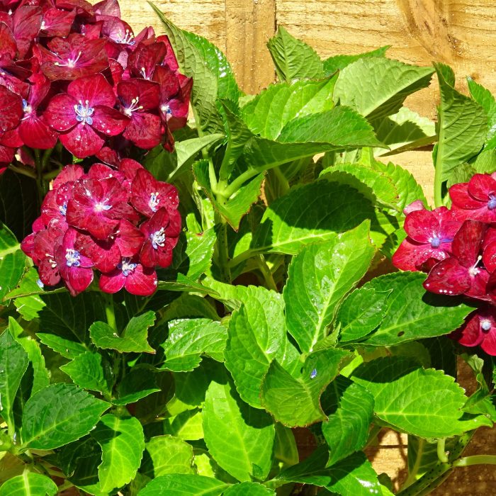 e56aa92f8e3949a4b30d05aaf15a97c9.jpg fcbbf6d1-99cc-4ca1-b9a7-f2a7cf142714