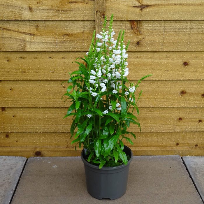 e589131394dcd045a3742b6e113737c3.jpg 0562edec-5291-4cb1-b728-2aca80ed6f18