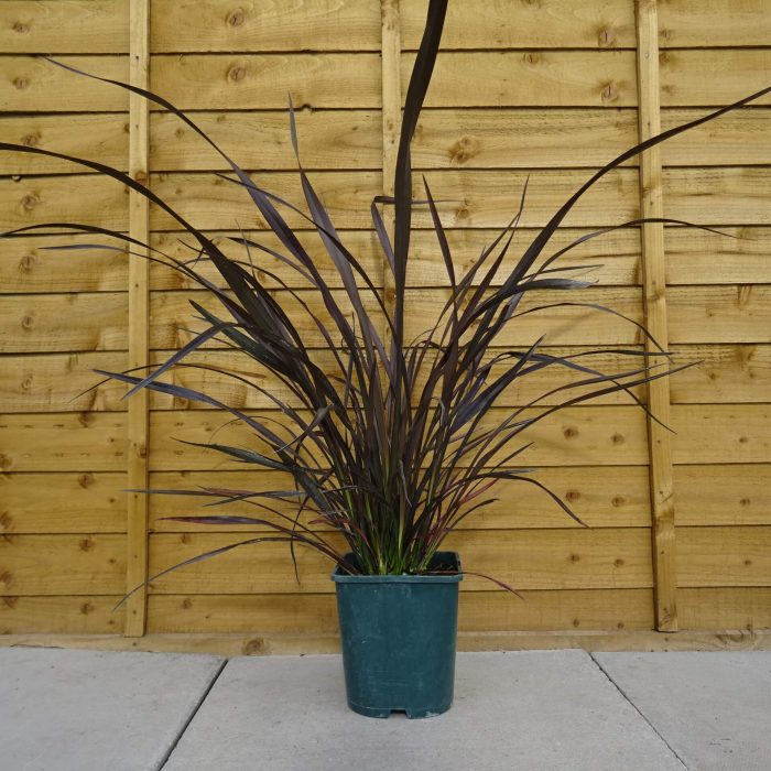 3dc65e76-7a75-4867-aa81-ee206fdfa1a0