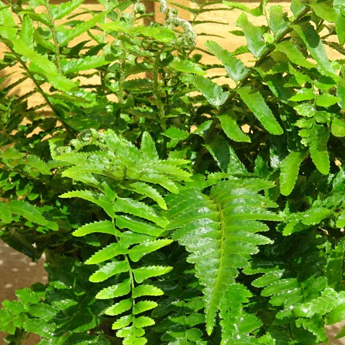 be40b2e8-e2c2-45fd-b4ef-3835ba4f342e