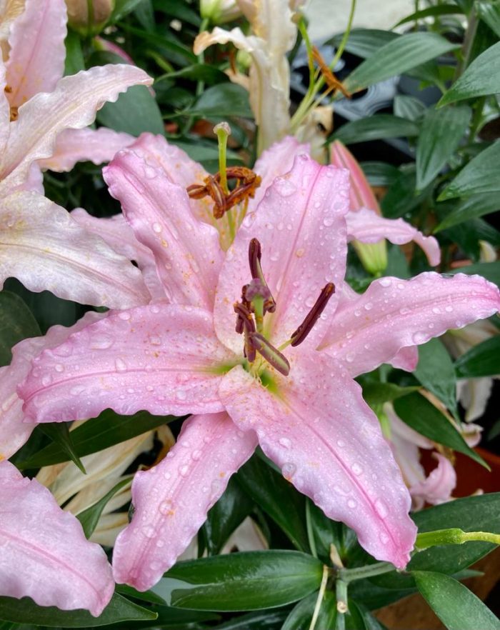 97c821b1-3b4b-427e-a515-bd261080bb60